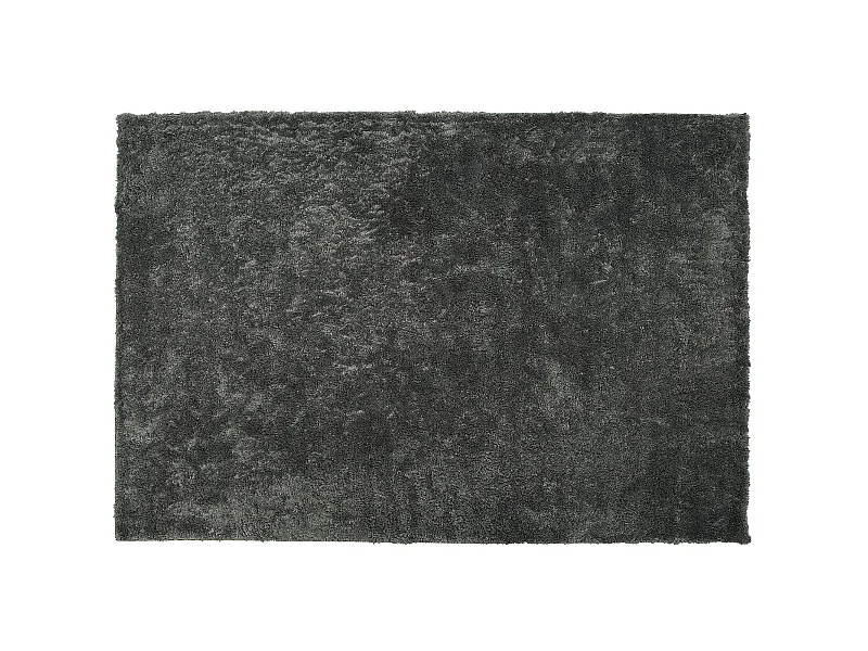 Tapis à poils longs EVREN Gris foncé 200 x 300 cm