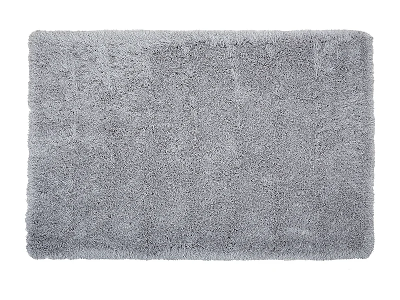 Tapis à poils longs CIDE Gris clair 140 x 200 cm