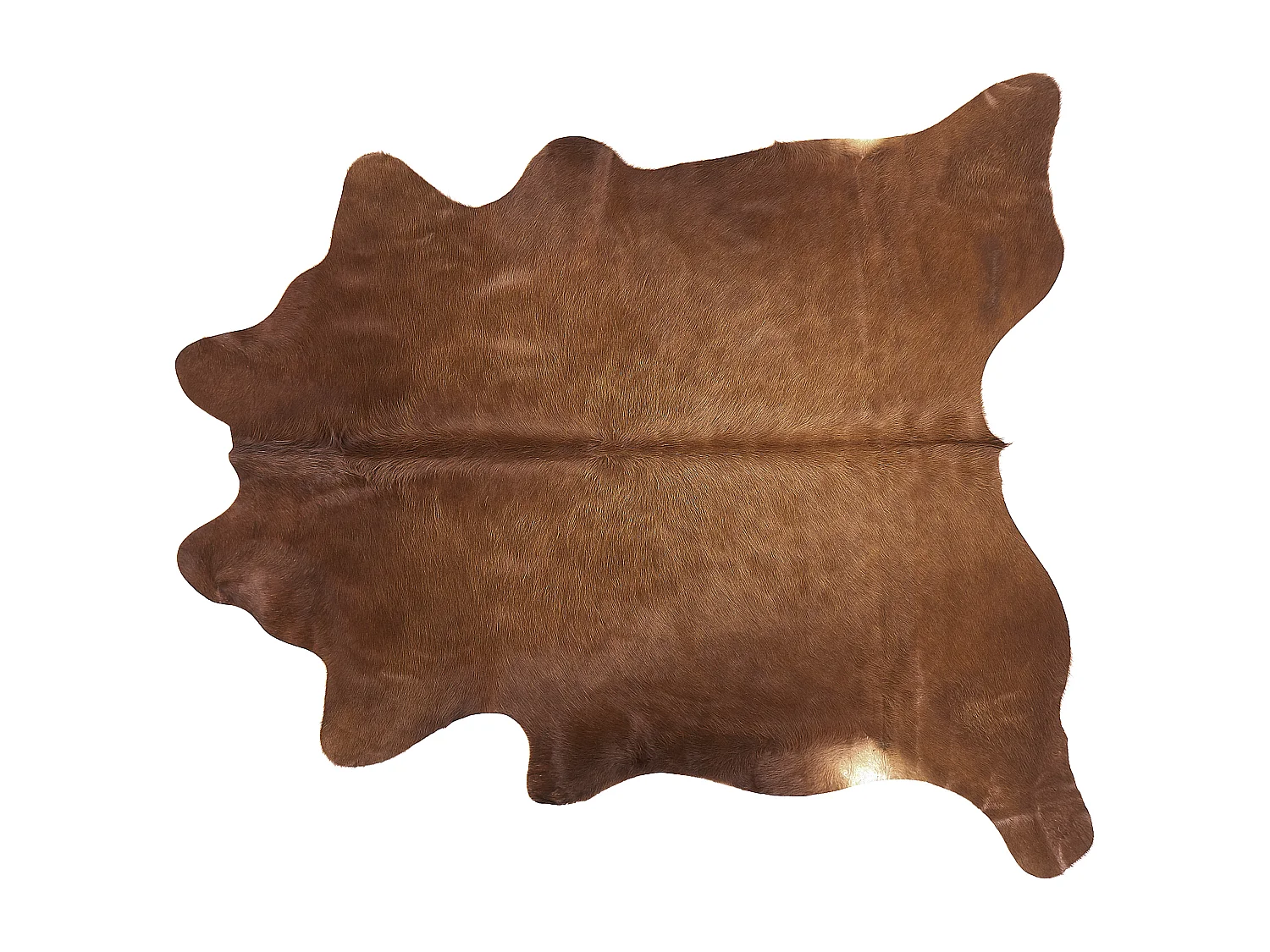 Tapis en peau de vache NASQU Marron doré 2-3 m² Cuir