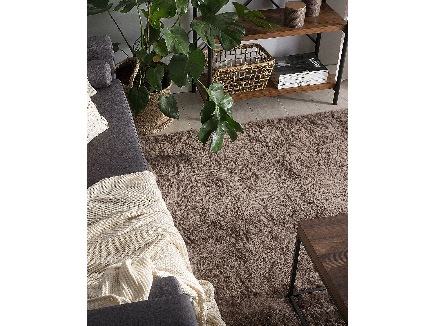 Vloerkleed polyester lichtbruin 200 x 300 cm EVREN