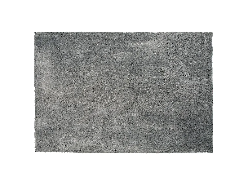 Tapis à poils longs EVREN Gris clair 200 x 300 cm
