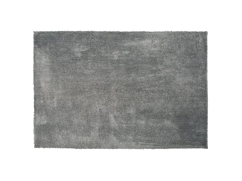 Tapis à poils longs EVREN Gris clair 200 x 300 cm