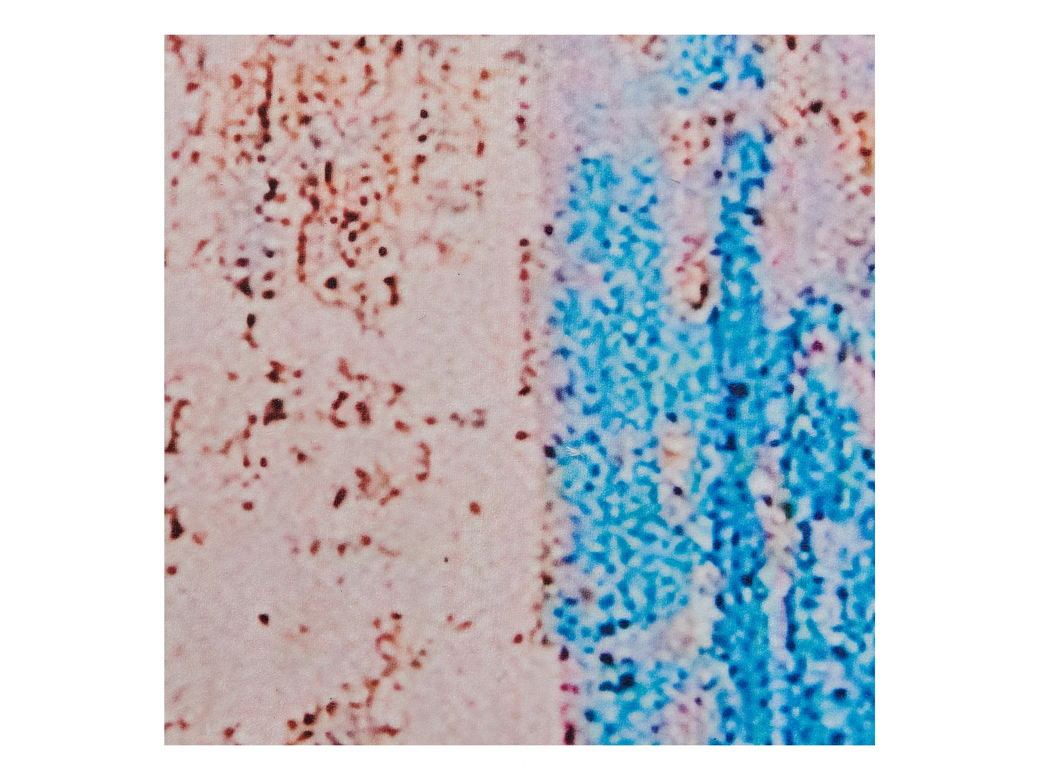 Vloerkleed polyester blauw 160 x 230 cm INEGOL