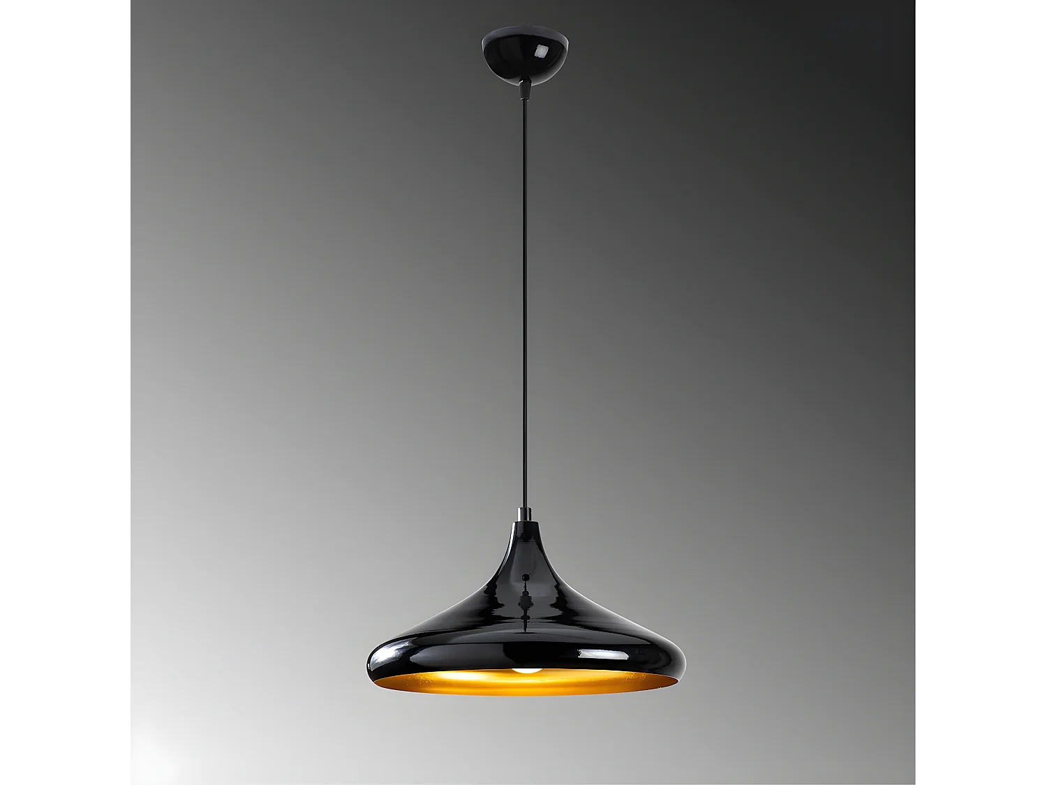 Harvey hanglamp in zwart metaal 1xE27 ø35cm