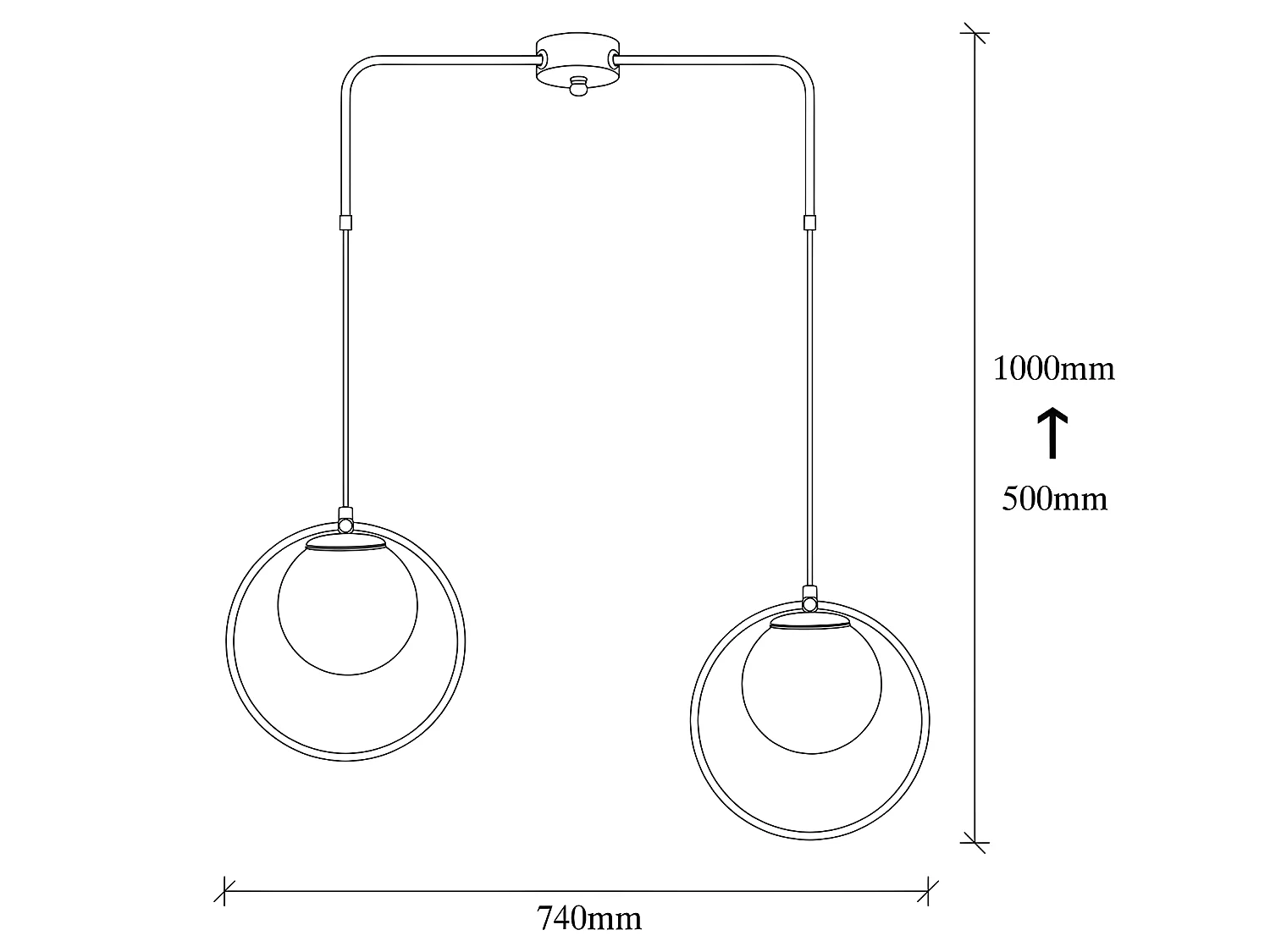 Escott zwarte hanglamp met ringvorm en 2 glazen bollen 2xE27