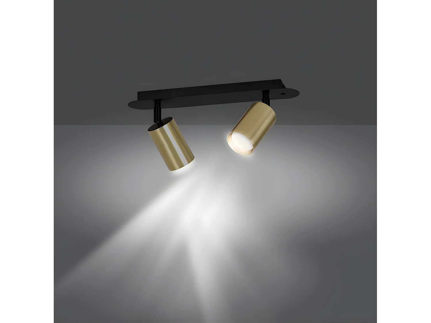 Plafonnier linéaire moderne noire Tao avec 2 spots dorés orientables 2xGU10