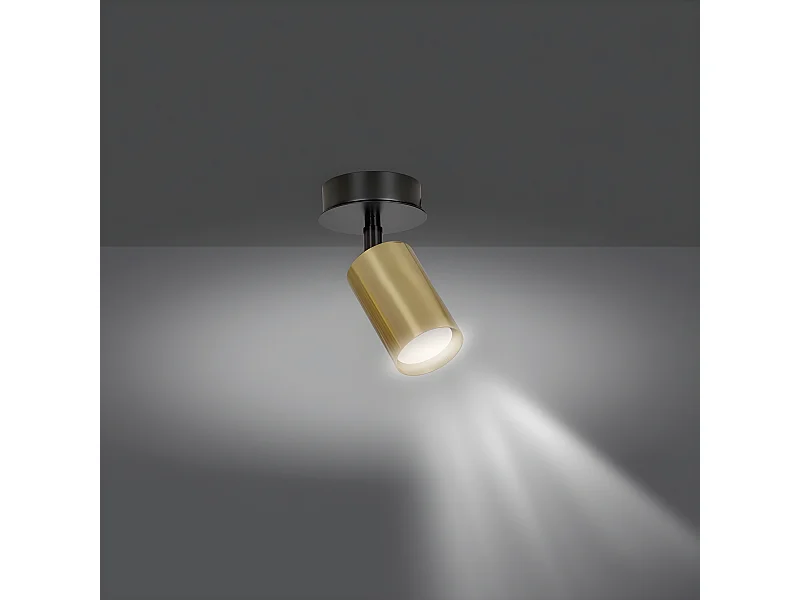 Spot de teto ajustável Tao em metal preto e dourado 1xGU10 ø8cm