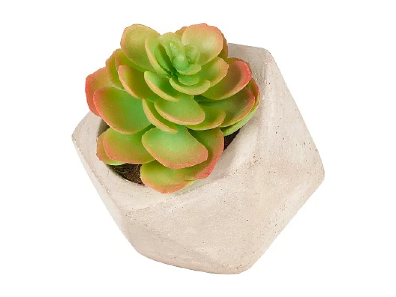 Succulente Artificielle Echeveria en Pot - Vert