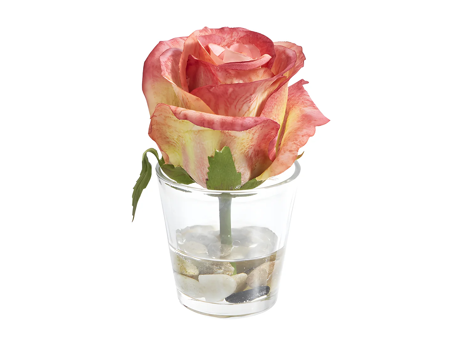 Rose en Illusion d'Eau Stones - Violet