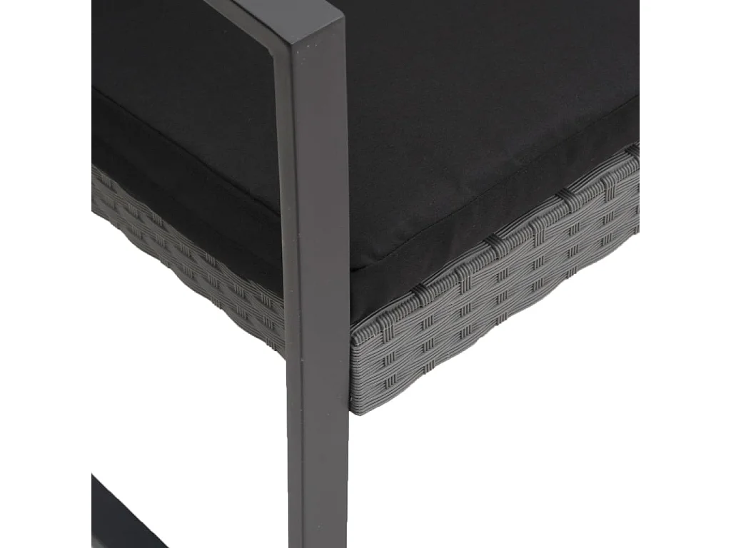 Panca da Giardino a 2 Posti con Cuscini Rattan PP Grigio Scuro
