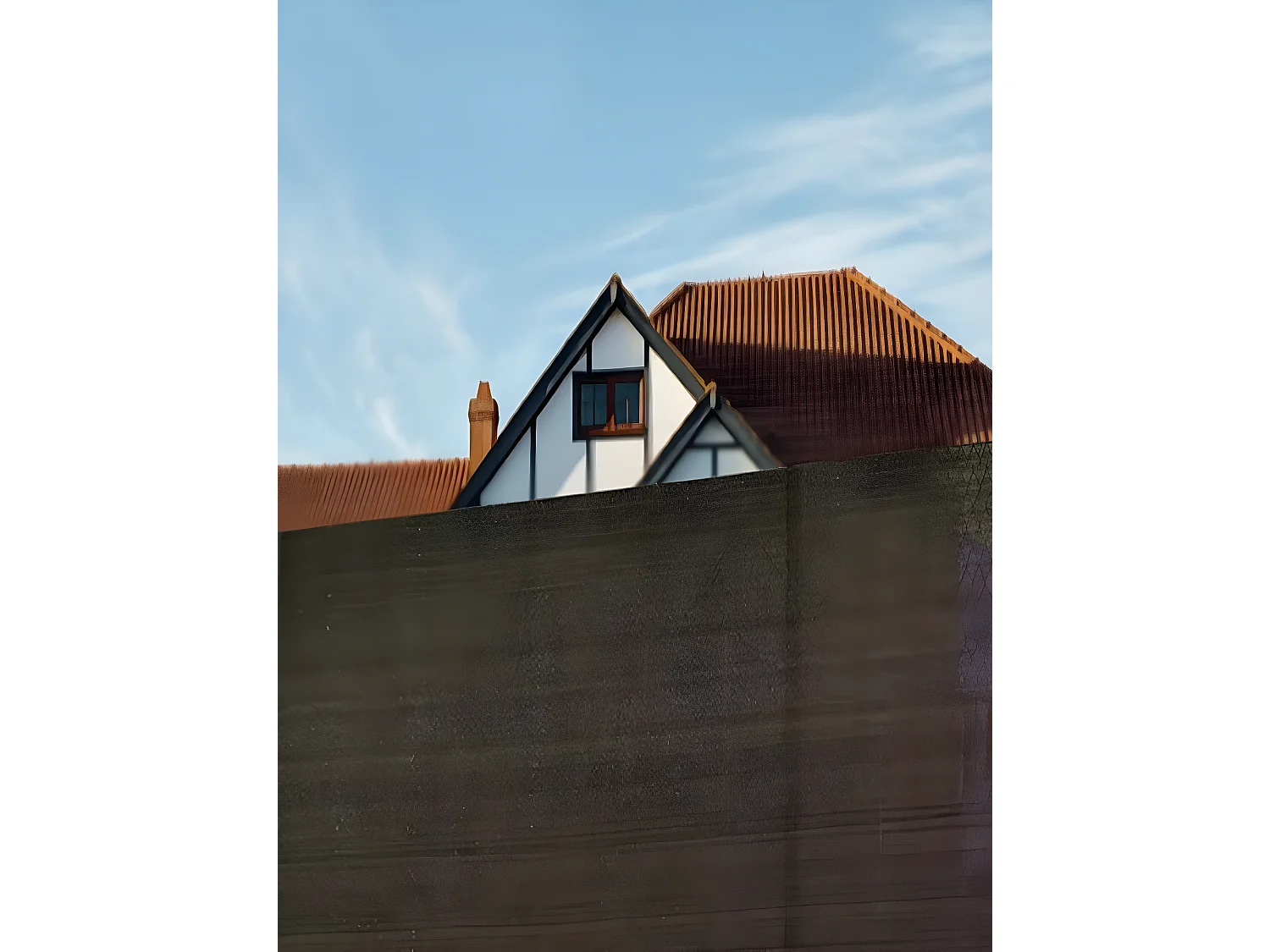 Brise Vue| 4X50 M| Composite 100% Polyamide| Occultation 80%| Maille D'ombrage| Marron