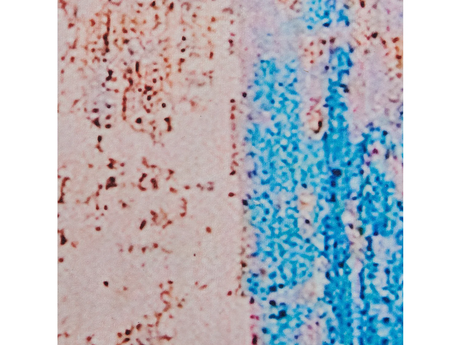 Alfombra azul/beige 80 x 150 cm INEGOL