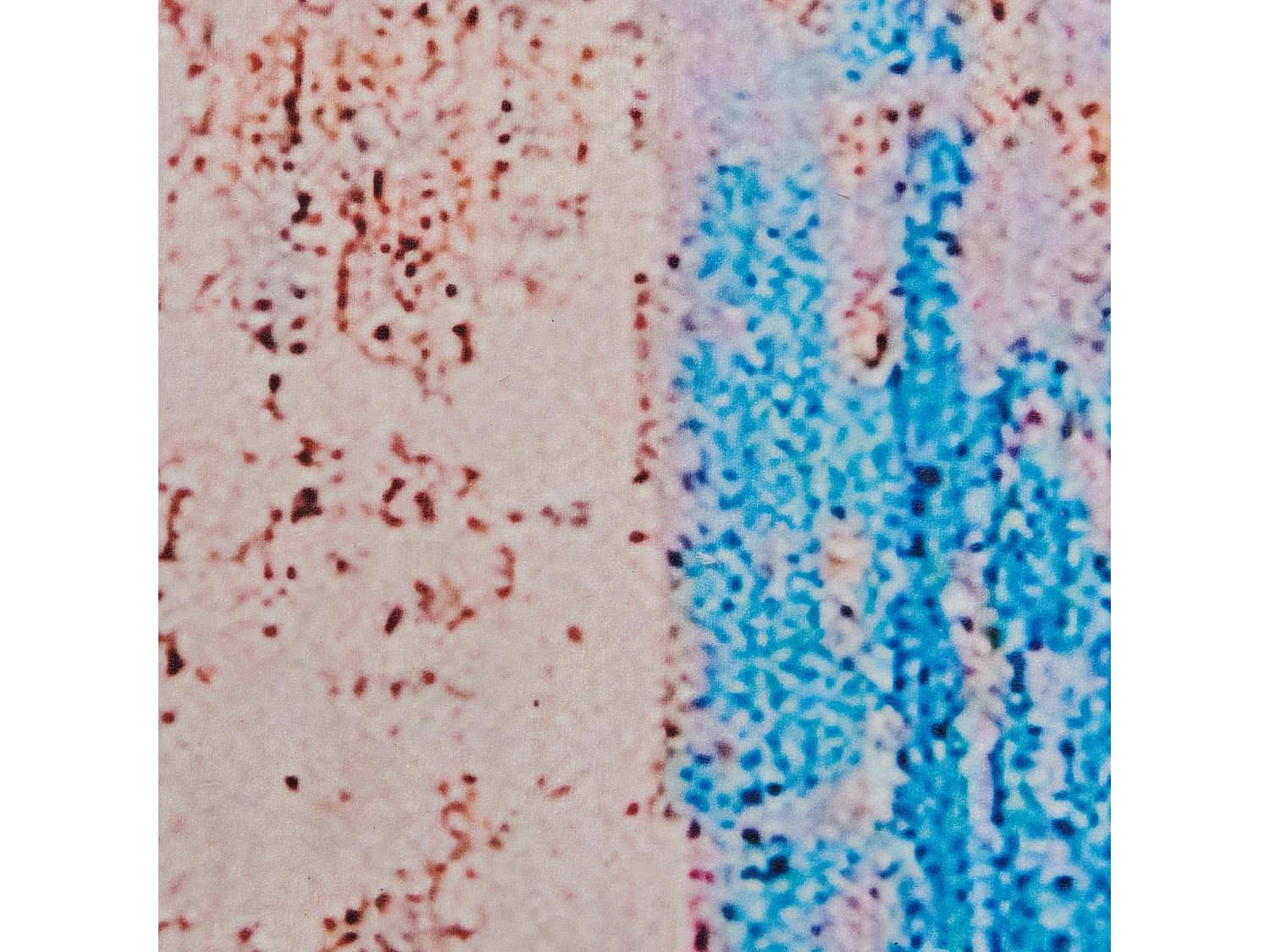 Tappeto a pelo corto azzurro 80 x 150 cm INEGOL