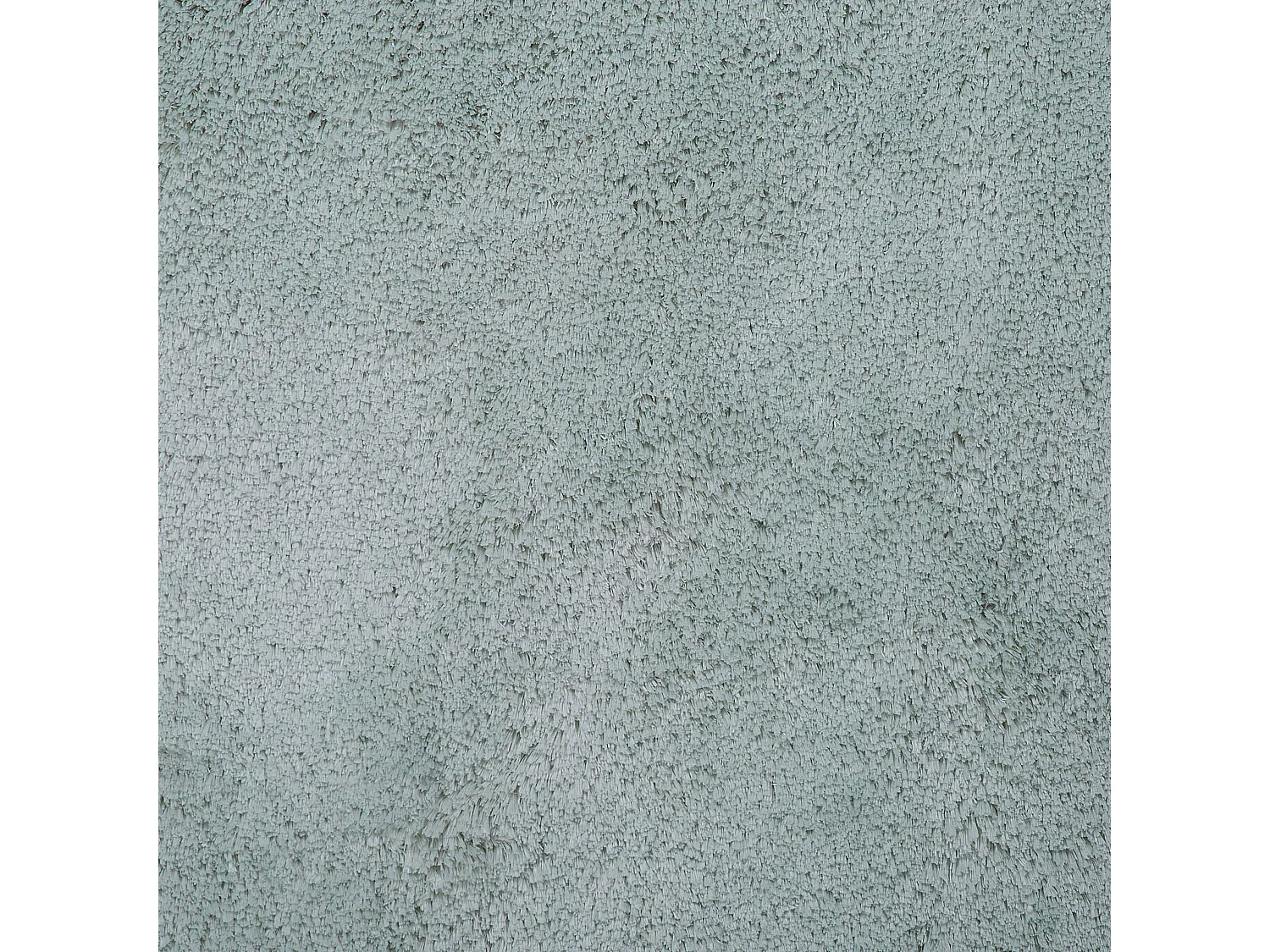 Tapis à poils longs EVREN Vert menthe 80 x 150 cm