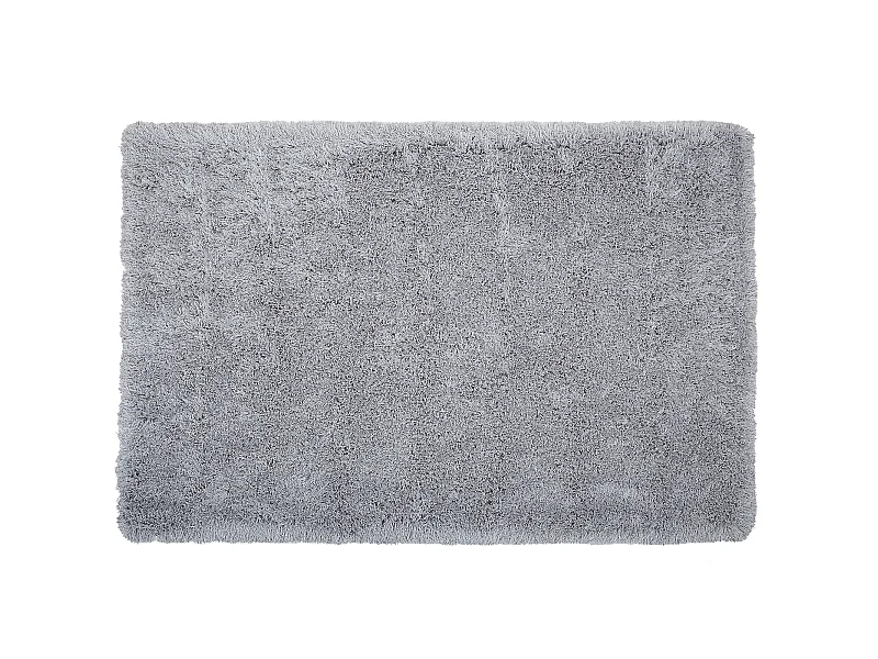 Tapis à poils longs CIDE Gris clair 200 x 300 cm