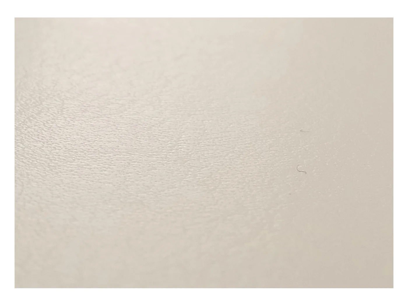 Chaise de salle à manger Littau (lot de 6),  cuir blanc, pieds clairs