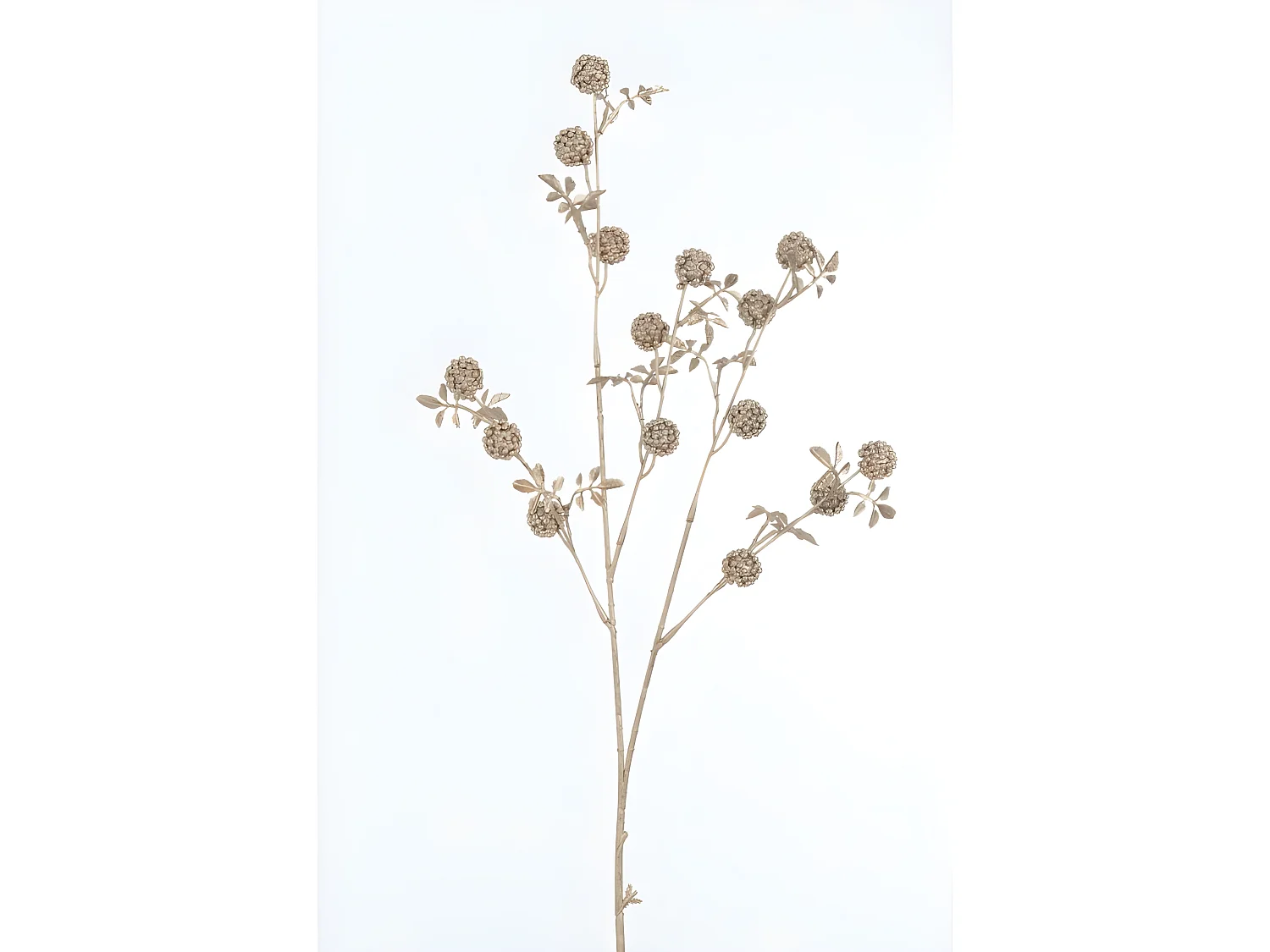 Rama de moras de plástico champagne 4x12x89 cm