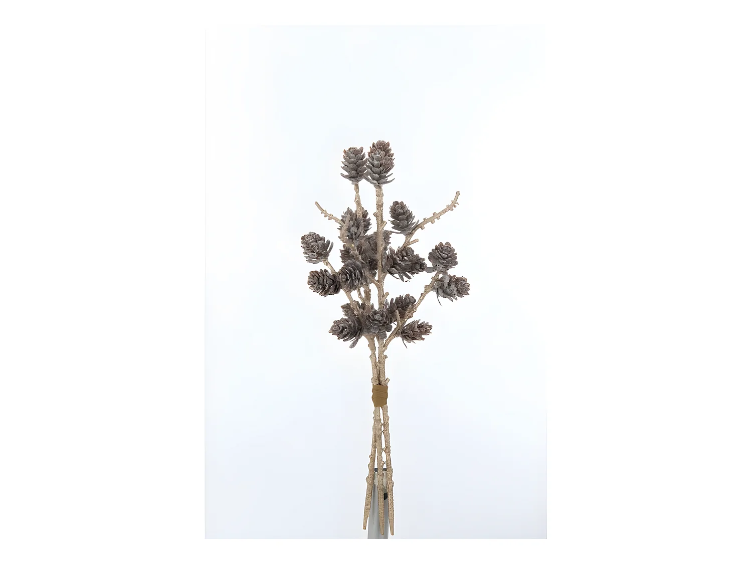 Bouquet di pigne in plastica marrone 6x12x28 cm