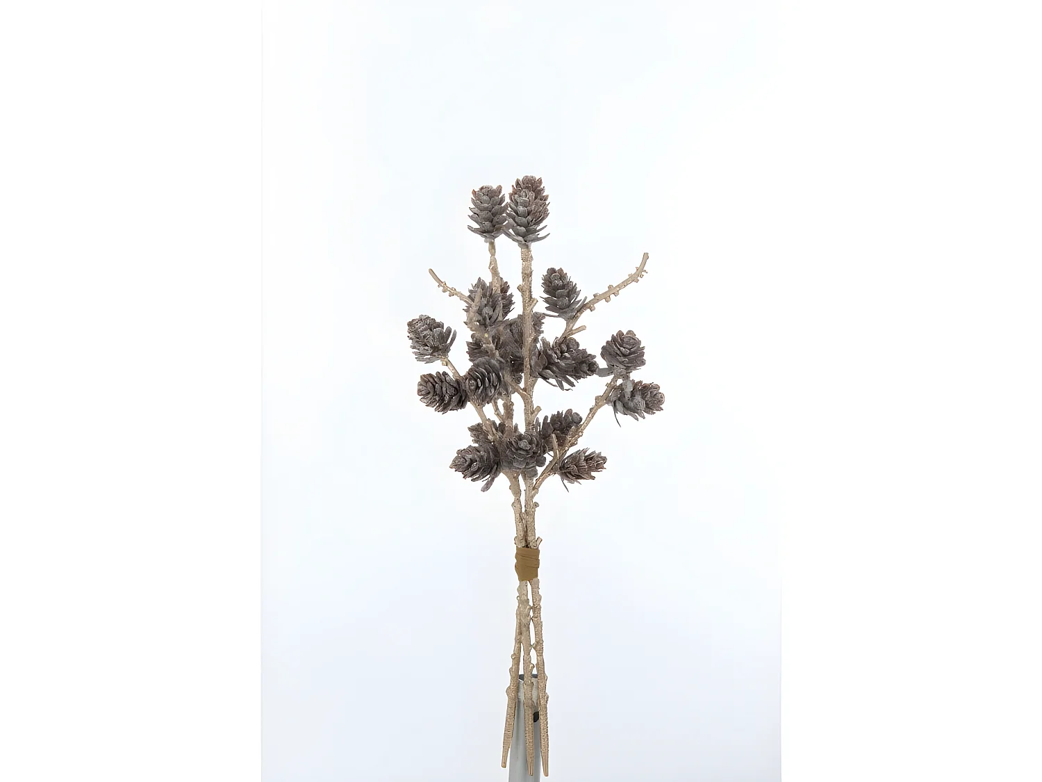 Bouquet di pigne in plastica marrone 6x12x28 cm