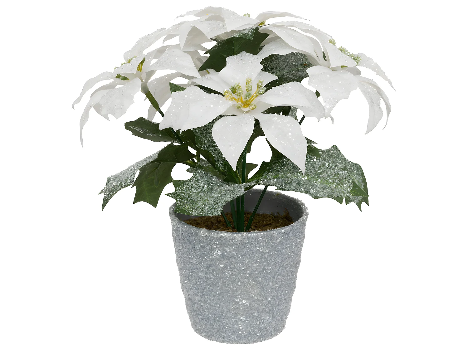 Plante artificiel Poinsettia Étoile de Noël Blanc pailleté en pot  H 22 cm