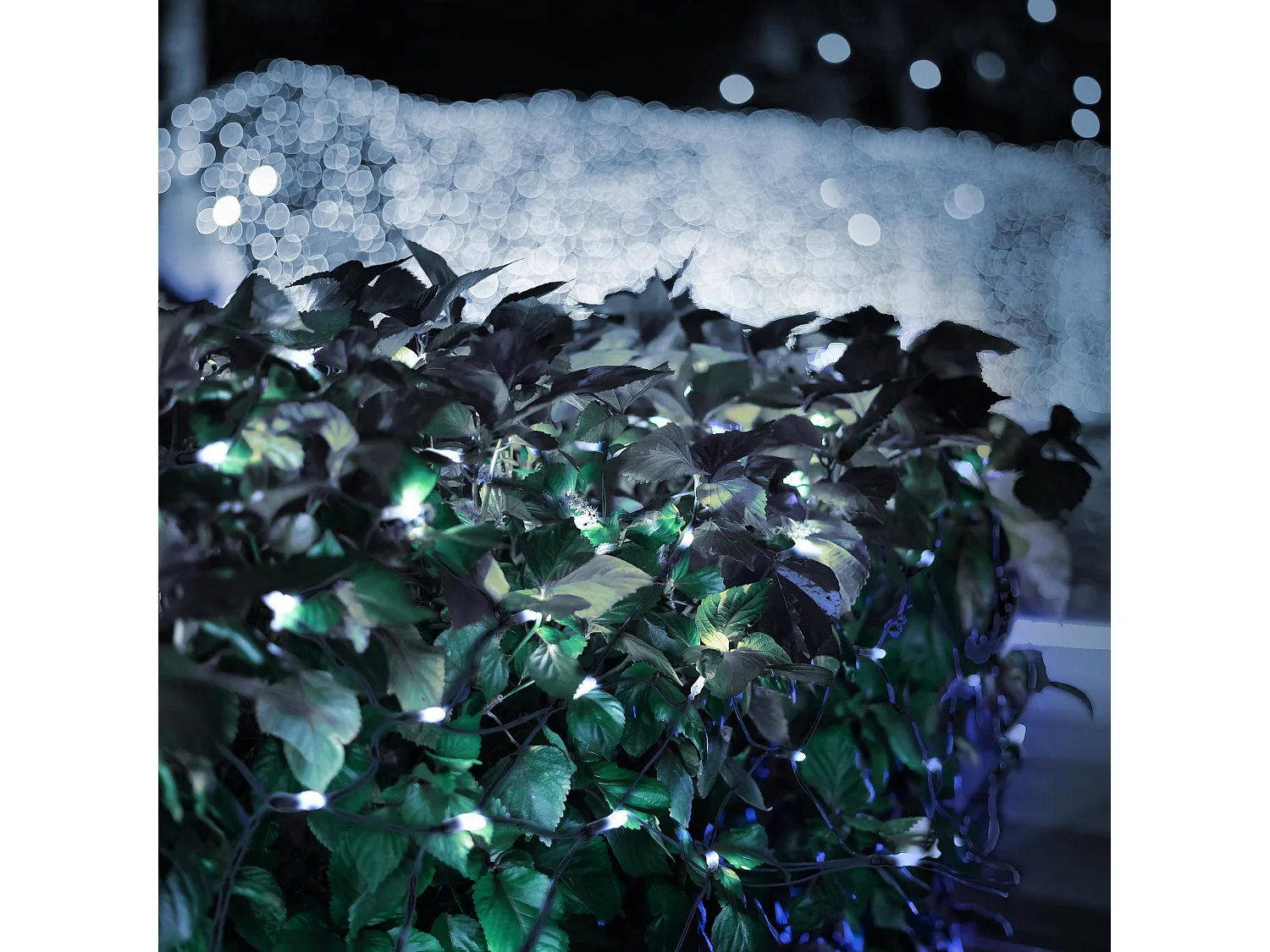 Rete luminosa bianco freddo 160 LED 2m luci natale decorative da interno/esterno