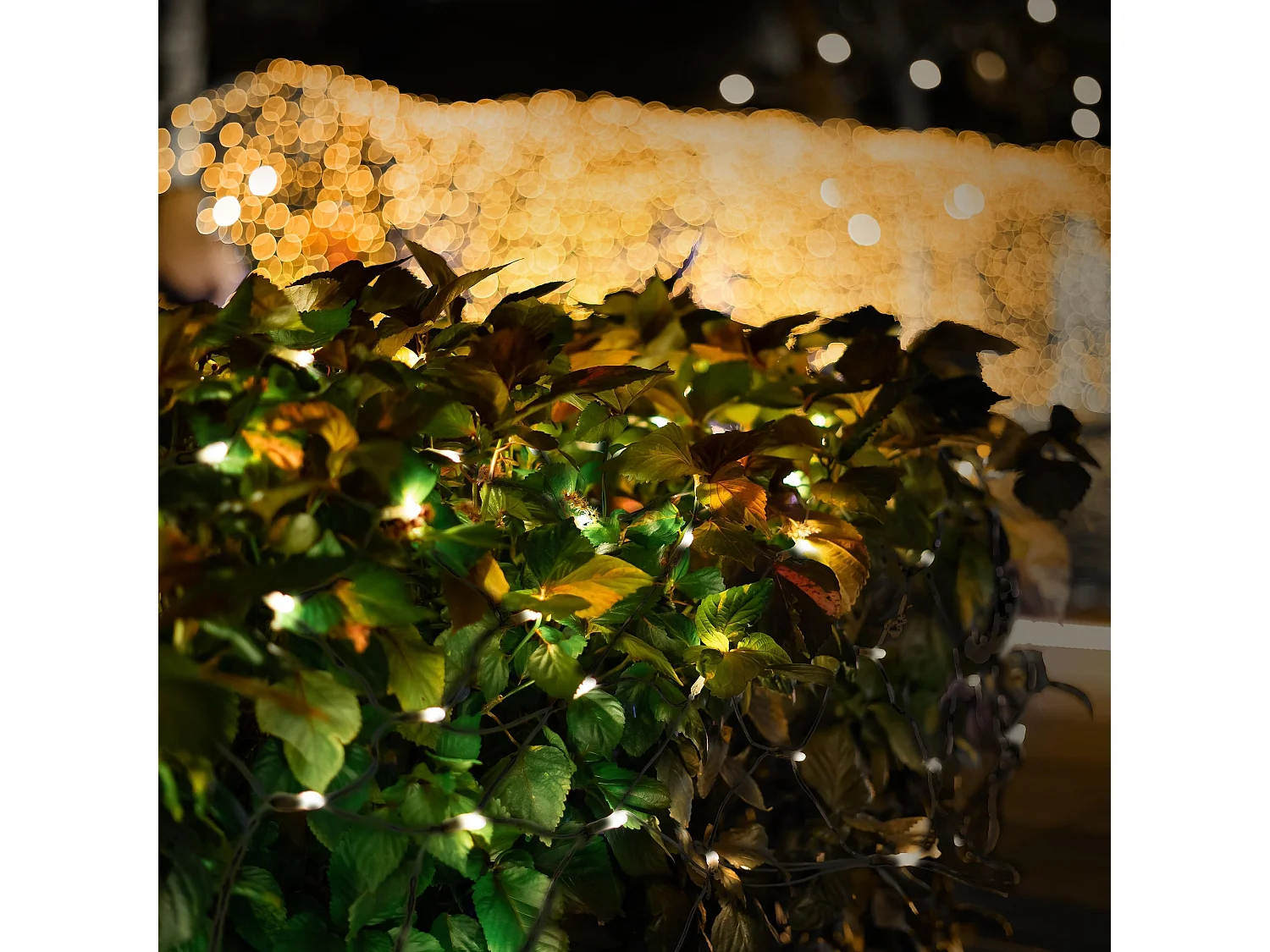 Rete luminosa bianco caldo 160 LED 2m luci natale decorative da interno/esterno