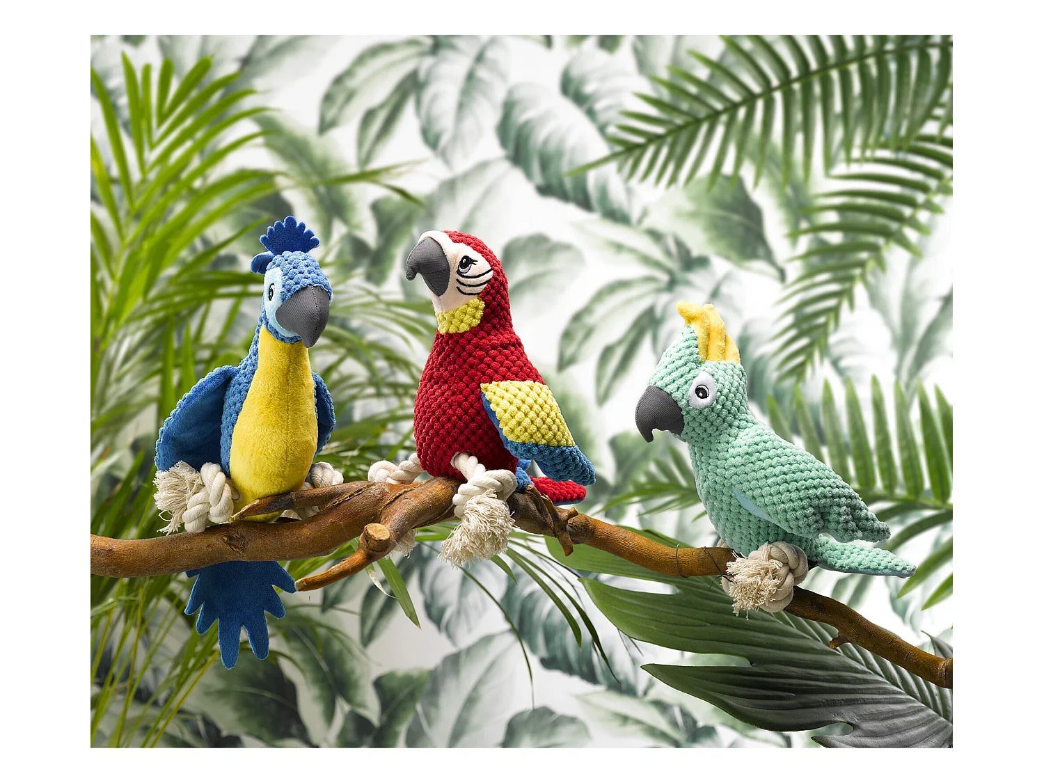 Jouet peluche Carlos le perroquet corde pour chien