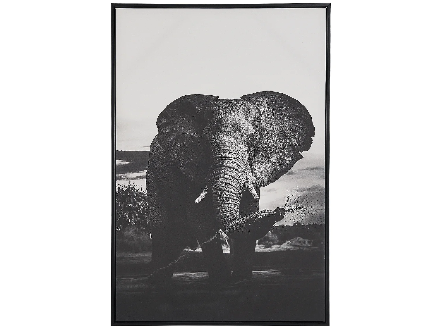 Imprimé sur toile NIBBIA Motif animal 63 x 99 cm Gris