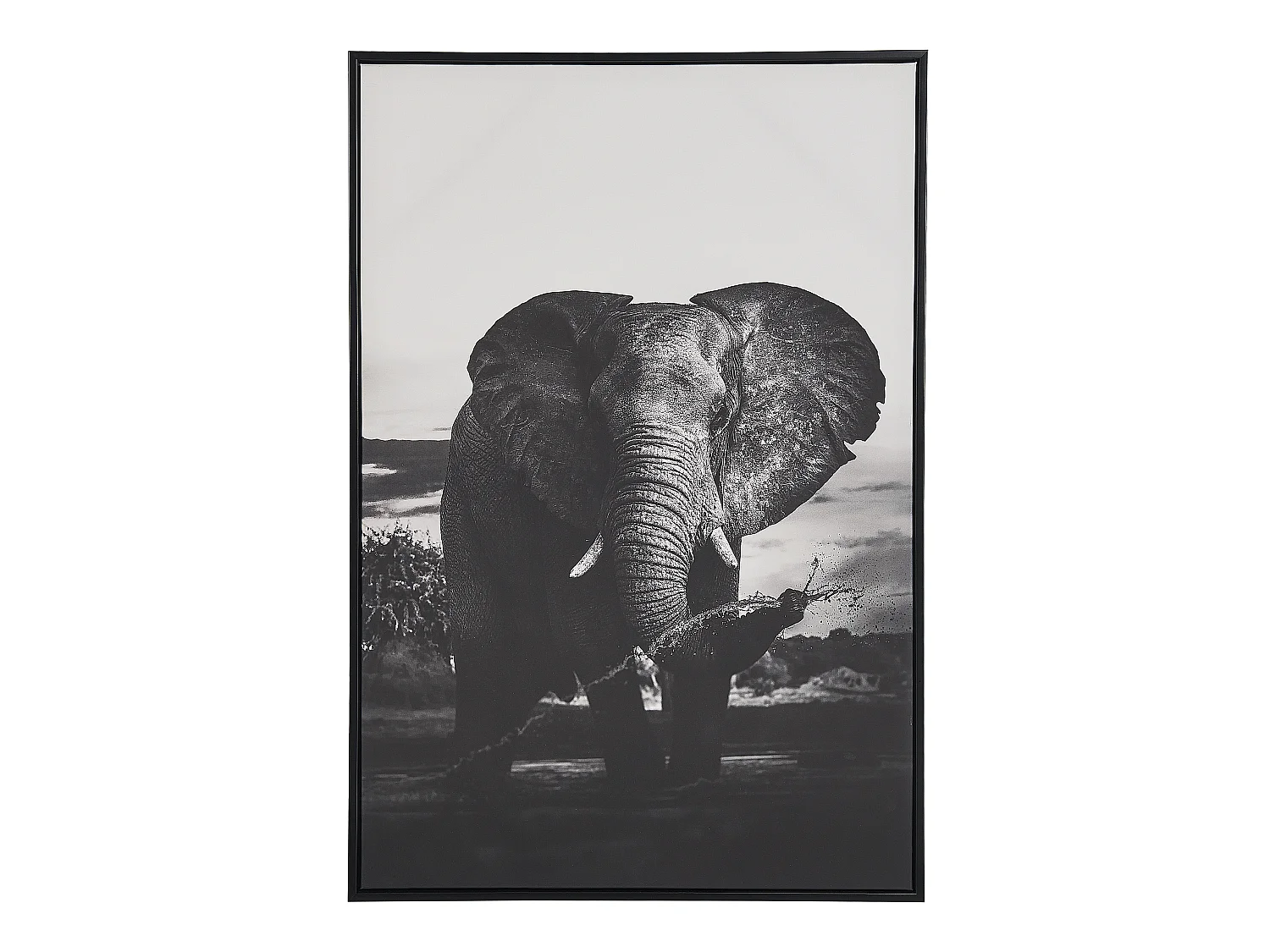 Imprimé sur toile NIBBIA Motif animal 63 x 99 cm Gris