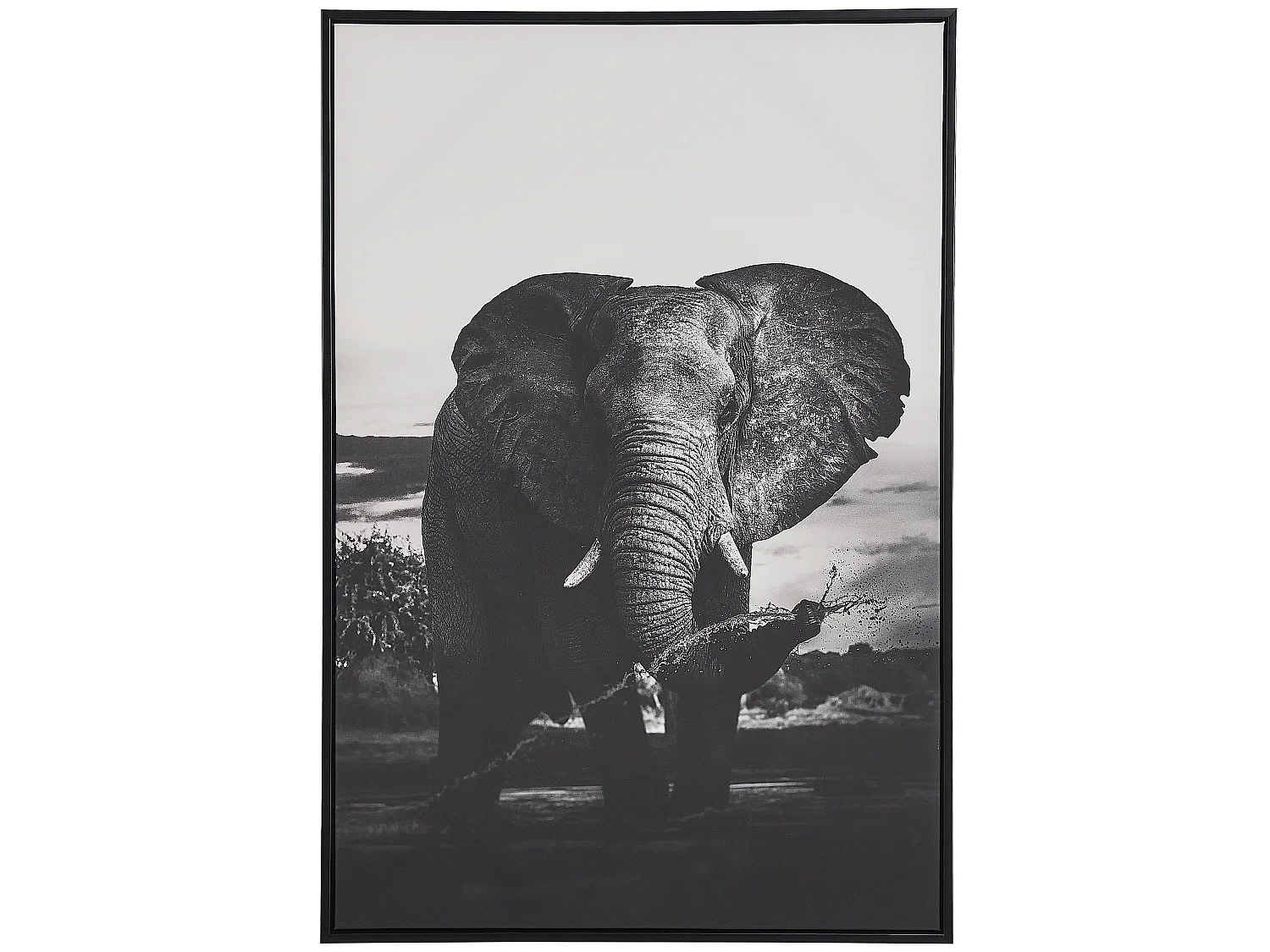 Imprimé sur toile NIBBIA Motif animal 63 x 99 cm Gris
