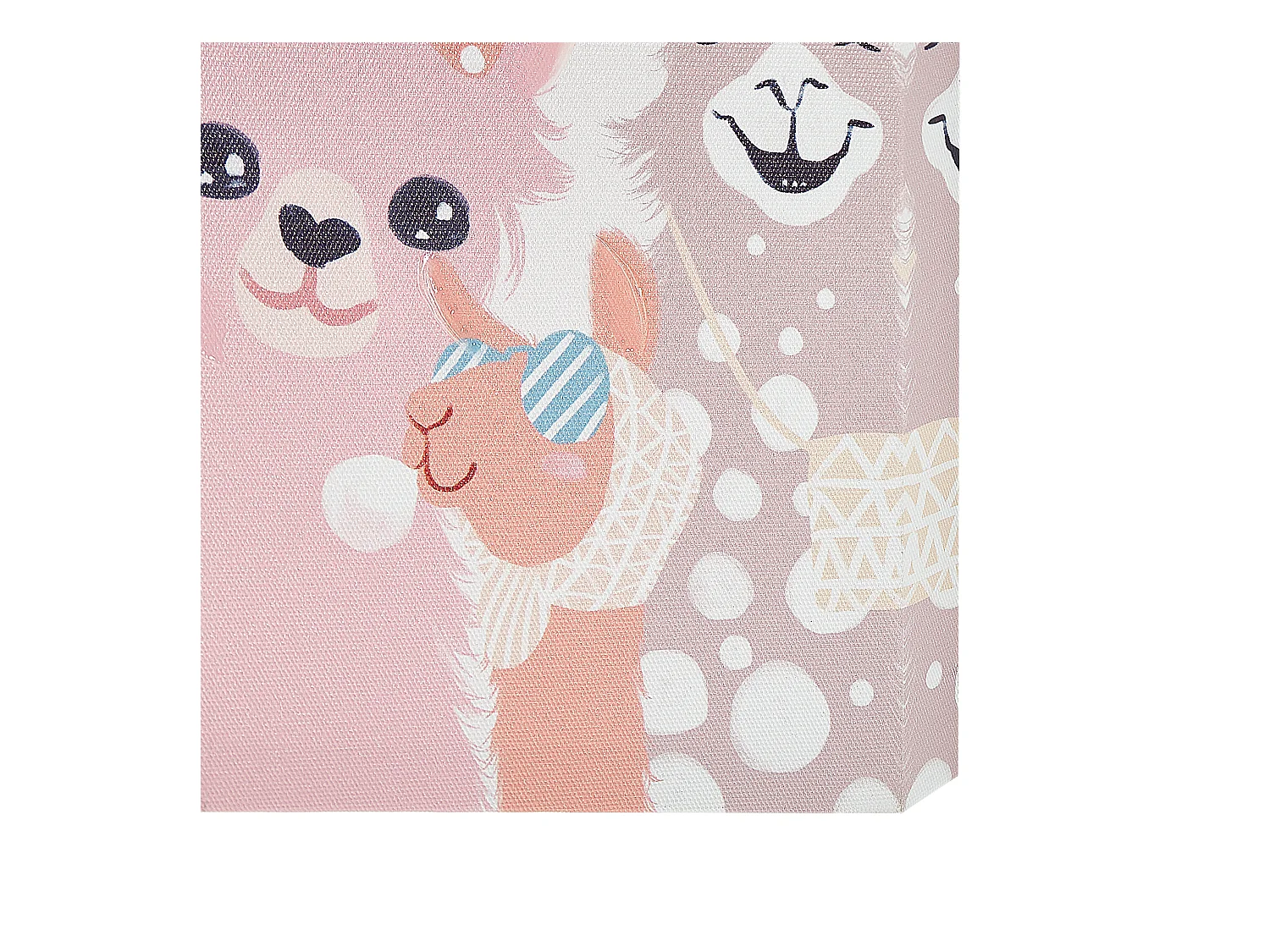 Conjunto de 3 lienzos TILLIA Motivo animal 30 x 30 cm Multicolor