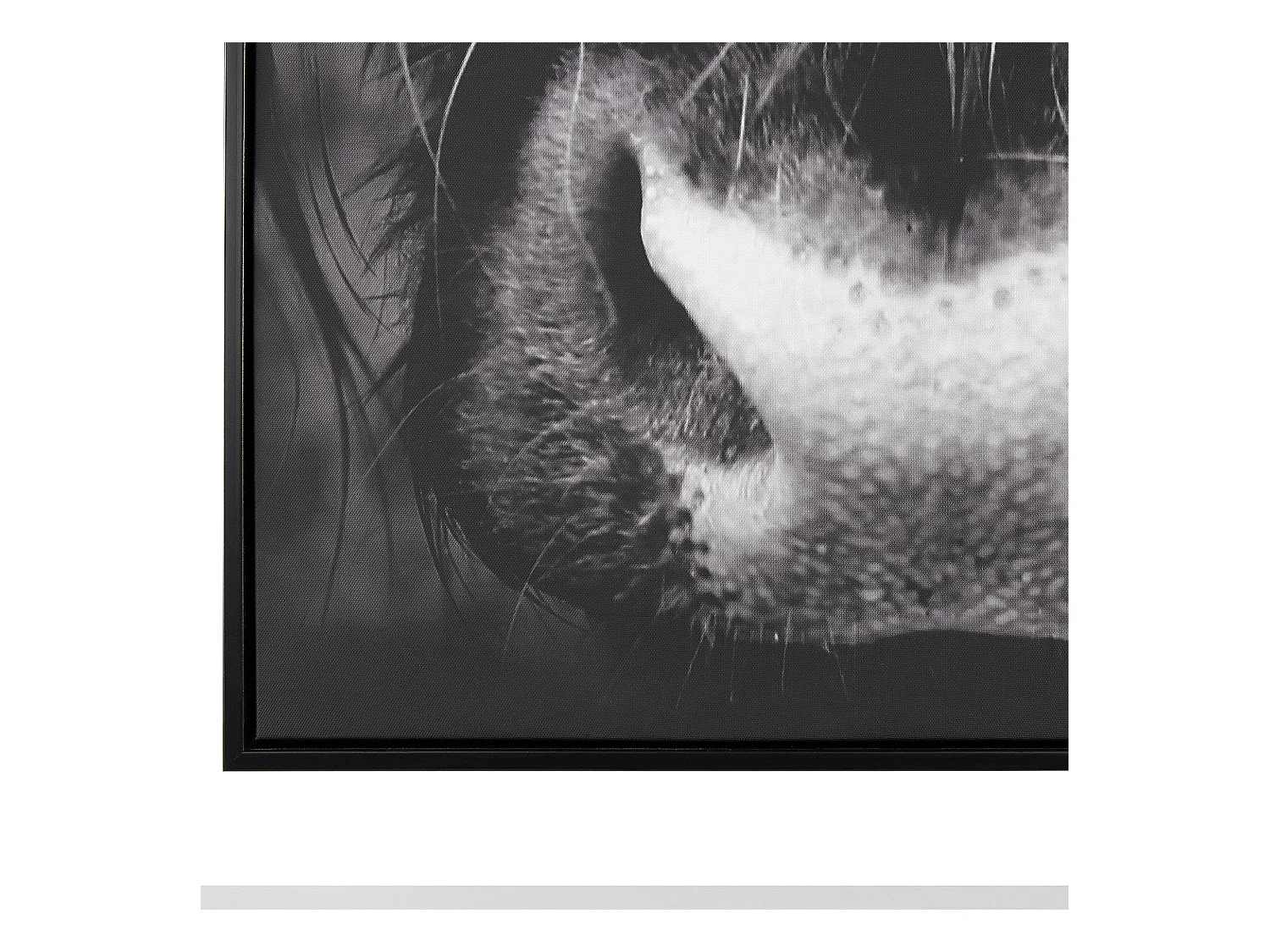 Lienzo GALEATA Motivo animal 63 x 99 cm Negro