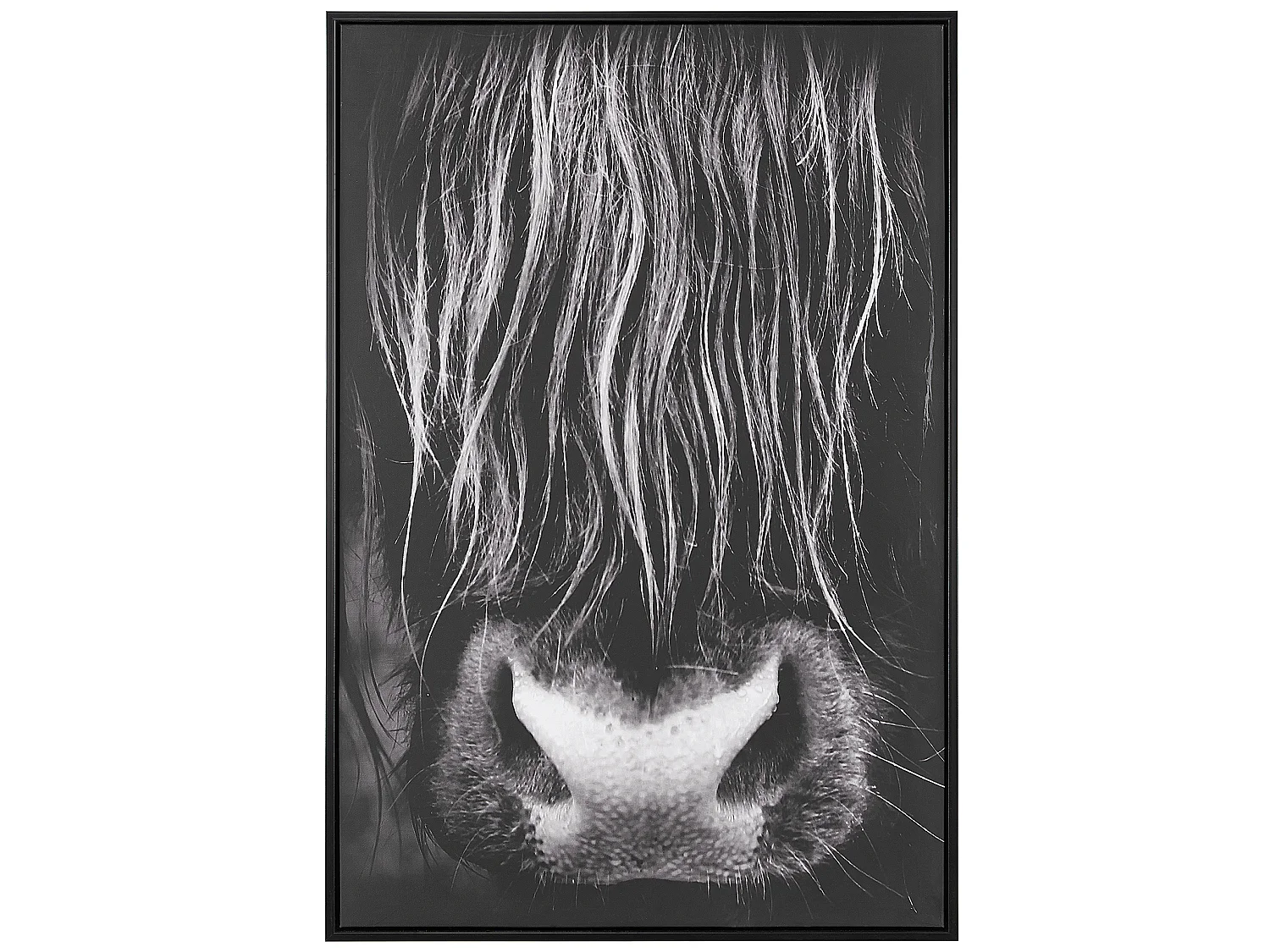 Imprimé sur toile GALEATA Motif animal 63 x 99 cm Noir