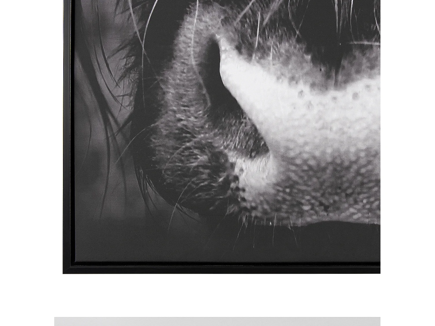 Imprimé sur toile GALEATA Motif animal 63 x 99 cm Noir