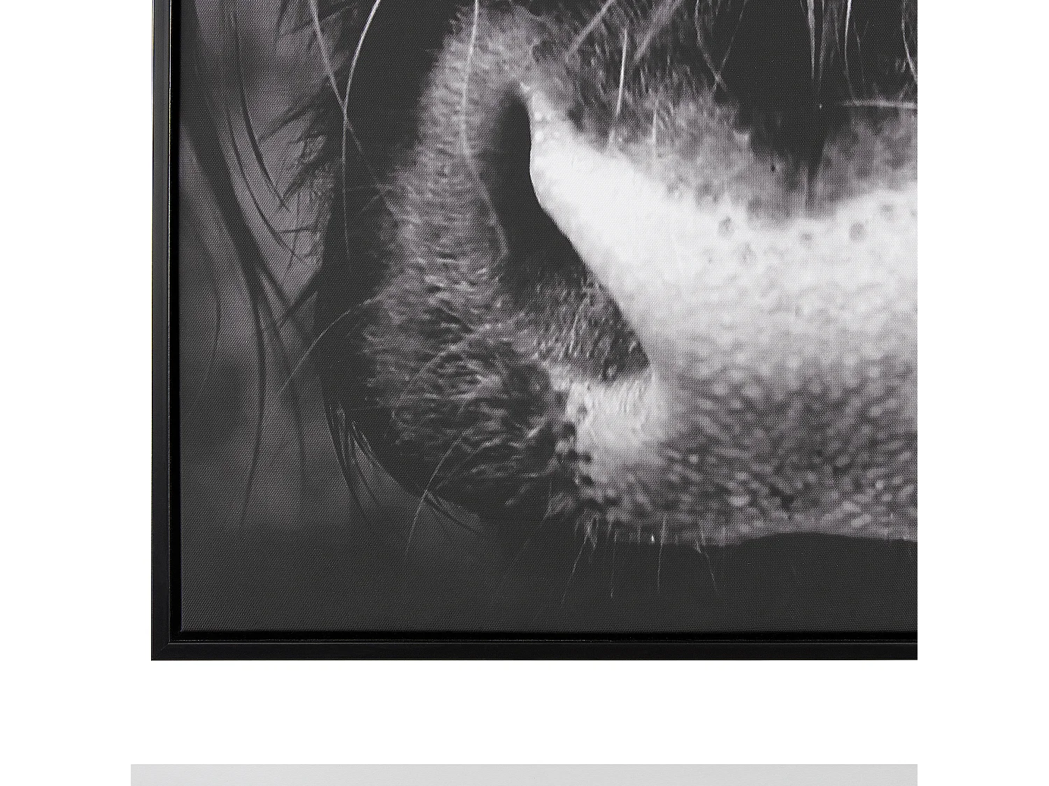 Tela GALEATA Motivo animal 63 x 99 cm Preto