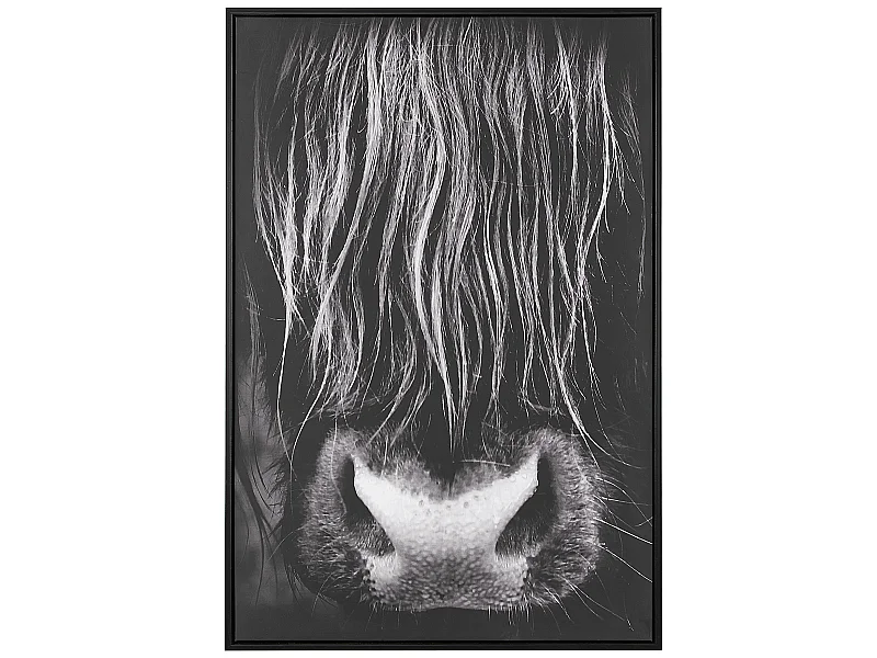 Imprimé sur toile GALEATA Motif animal 63 x 99 cm Noir