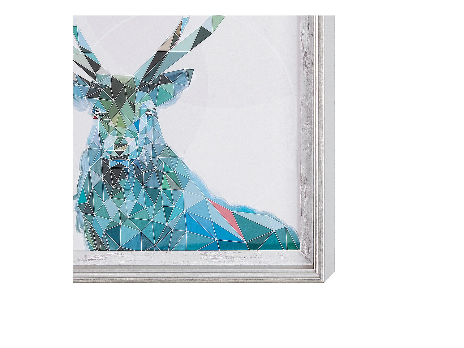 Impressão para parede com moldura KAYES Motivo animal 30 x 40 cm Azul