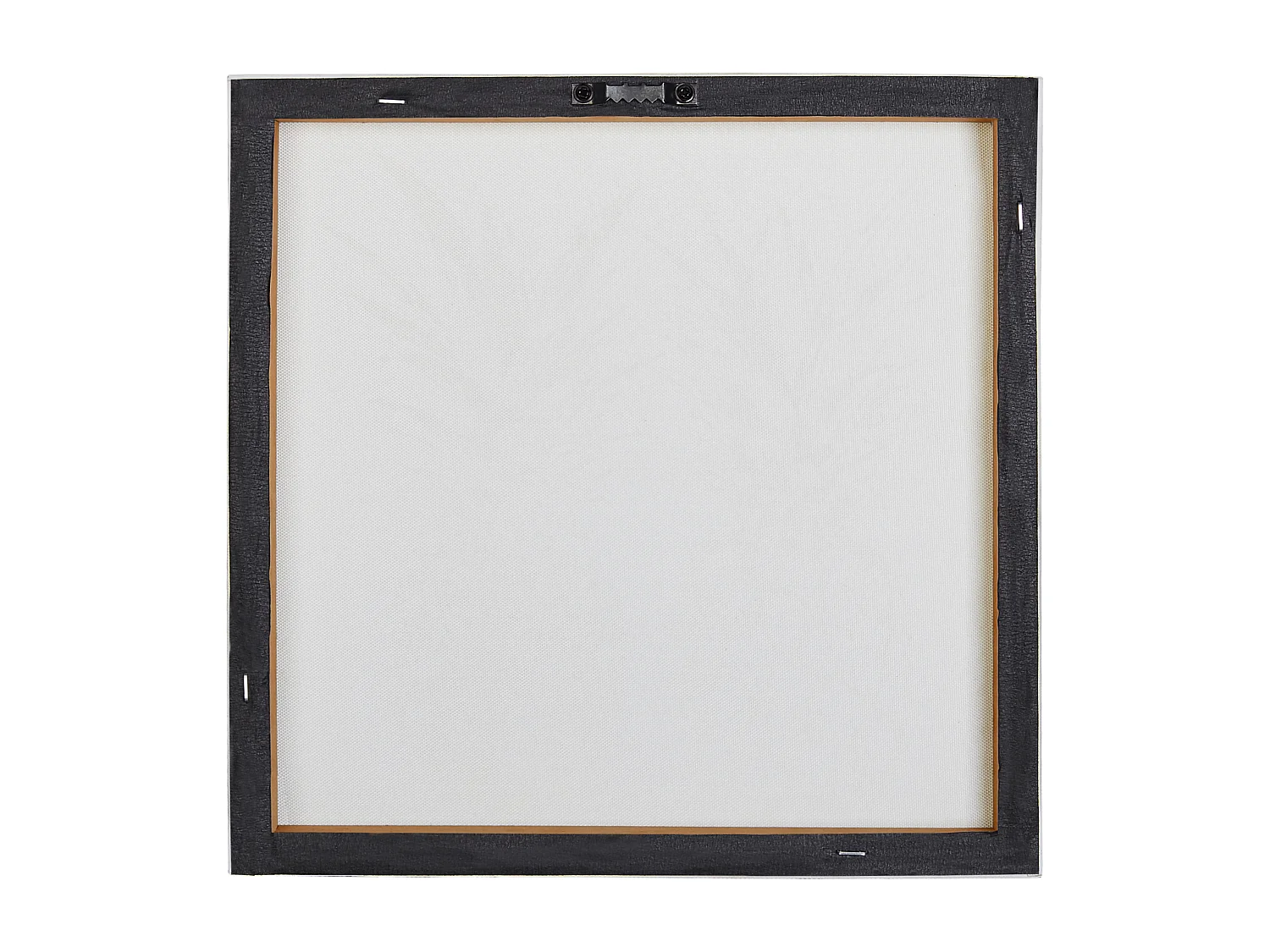 Set van 3 canvassen APESIKA Natuurlijk motief 30 x 30 cm Goud