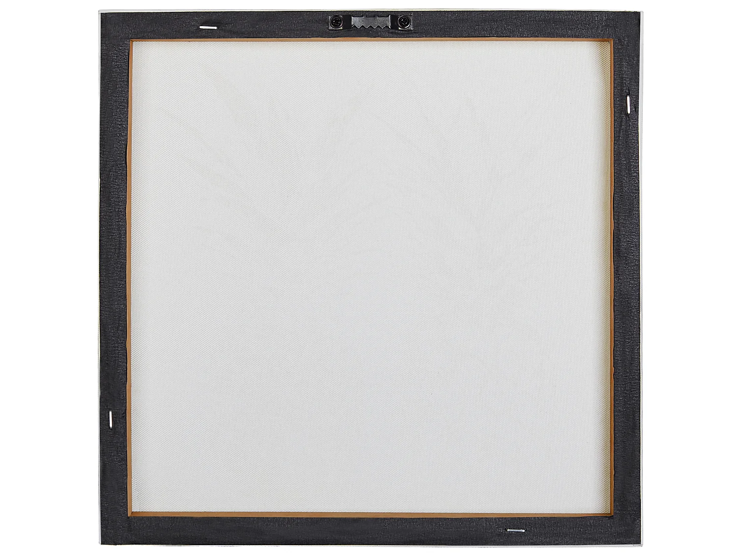 Set van 3 canvassen APESIKA Natuurlijk motief 30 x 30 cm Goud