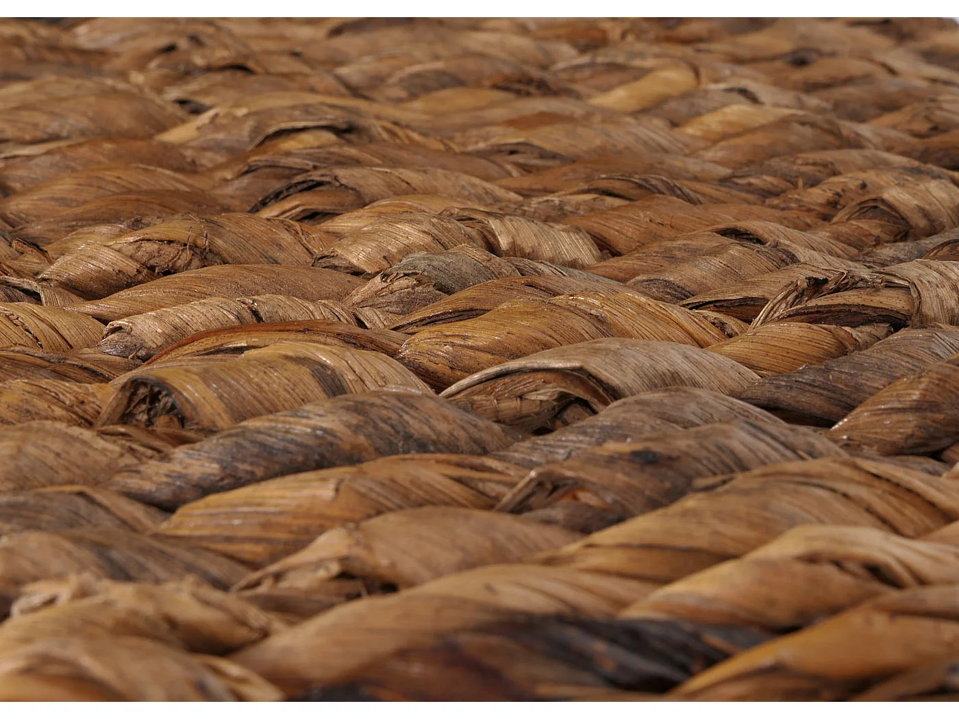 Chaise de salle à manger Loiret (lot de 6),  pieds foncés, avec coussins
