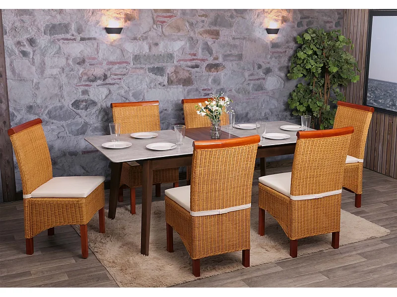 Set 6x sedie rattan vimini eleganti soggiorno sala pranzo M42 97x46x50cm con cuscini