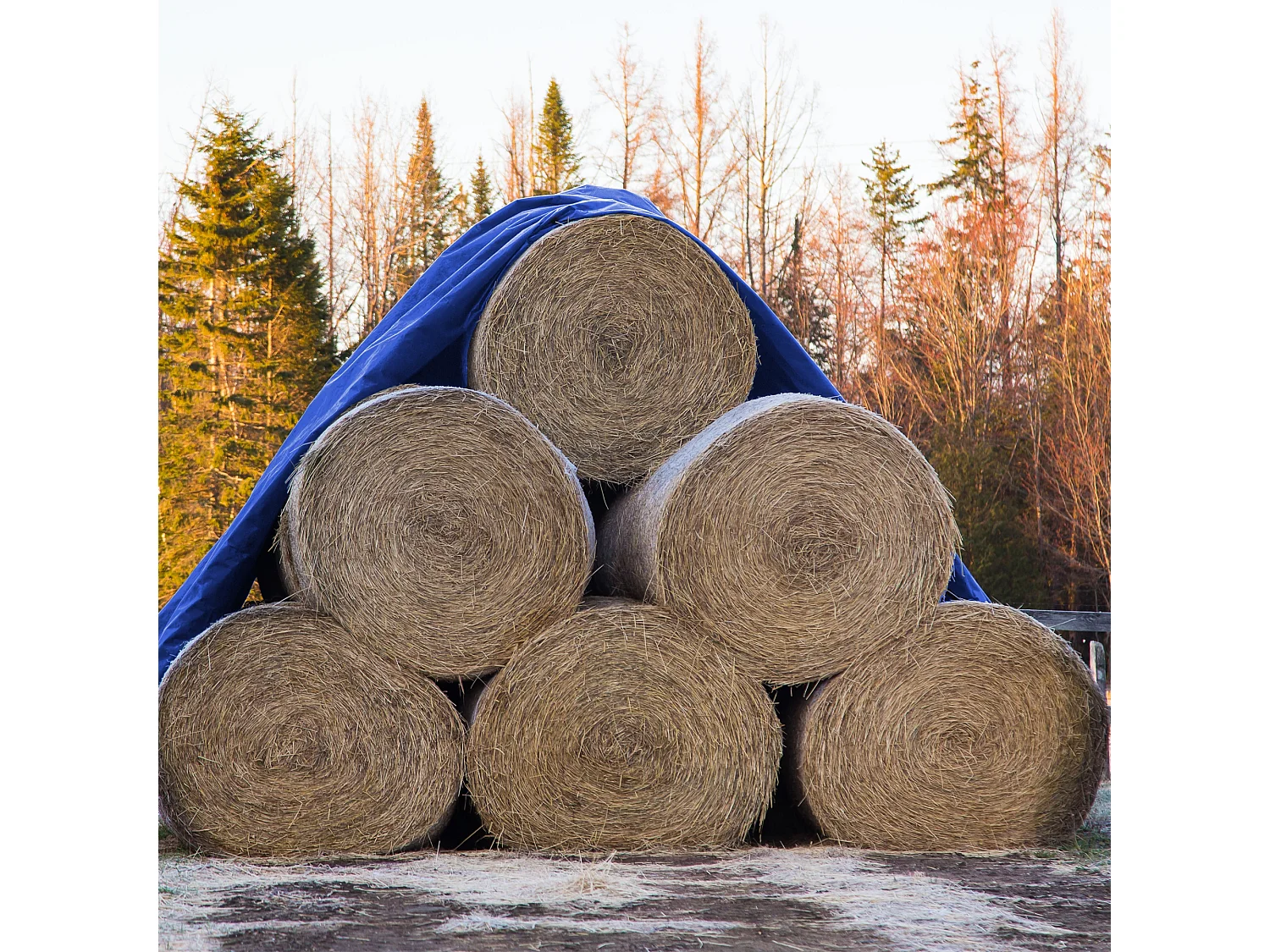 Bâche de couverture étanche protection en PE avec oeillets 6x12 m 180 g/m² bleu