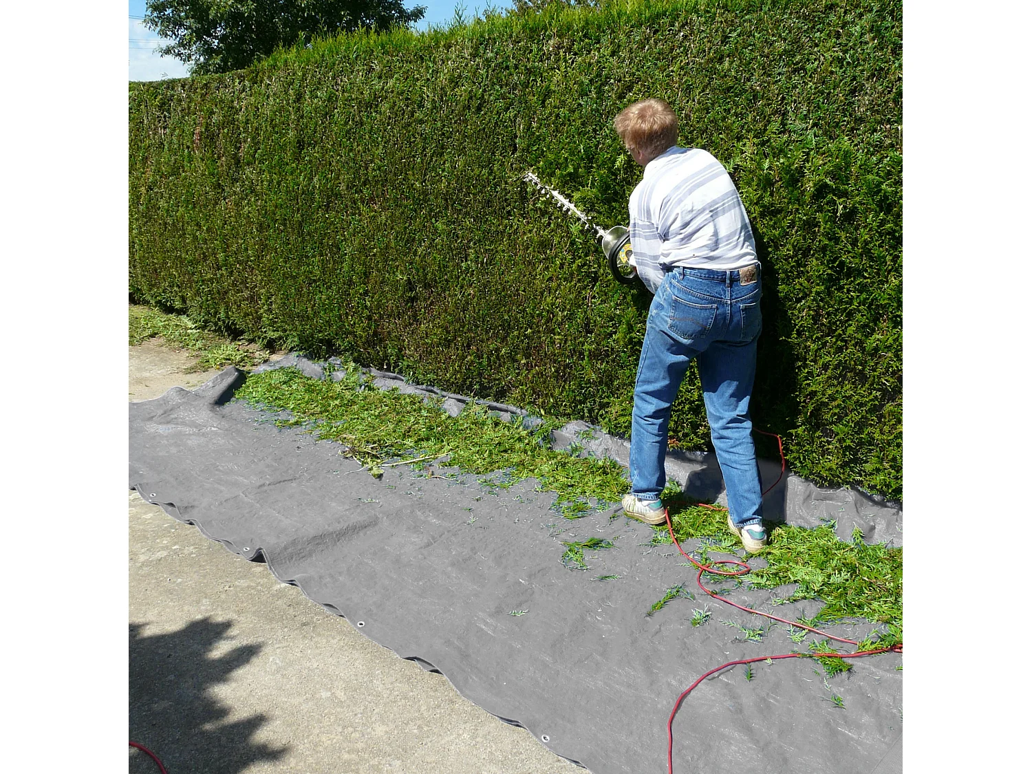 Lona de protección impermeable con ojales polietileno cubierta 2x3m 6m² 180g/m²