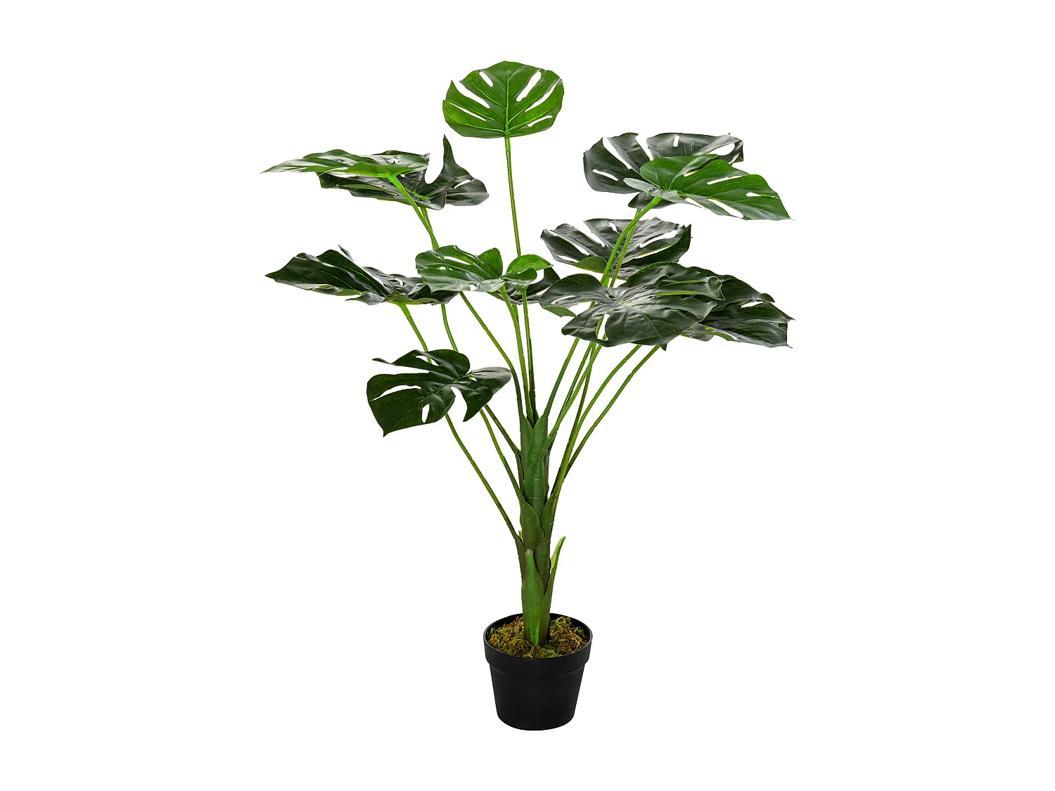 Arbre artificiel plante artificielle Monstera H. 85 cm tronc branches lichen feuilles de tortue grand réalisme pot inclus