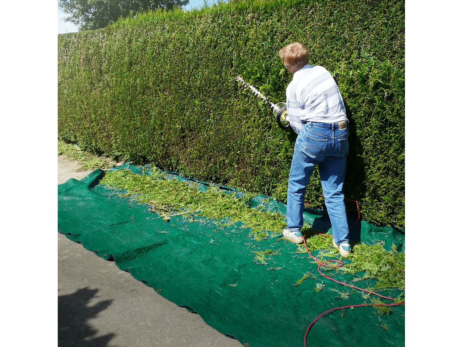 ECD Germany Bâche de couverture Premium Bâche en tissu avec oeillets, 6x3m 18m², 650g/m², vert, PVC, étanche, résistant à la déchirure