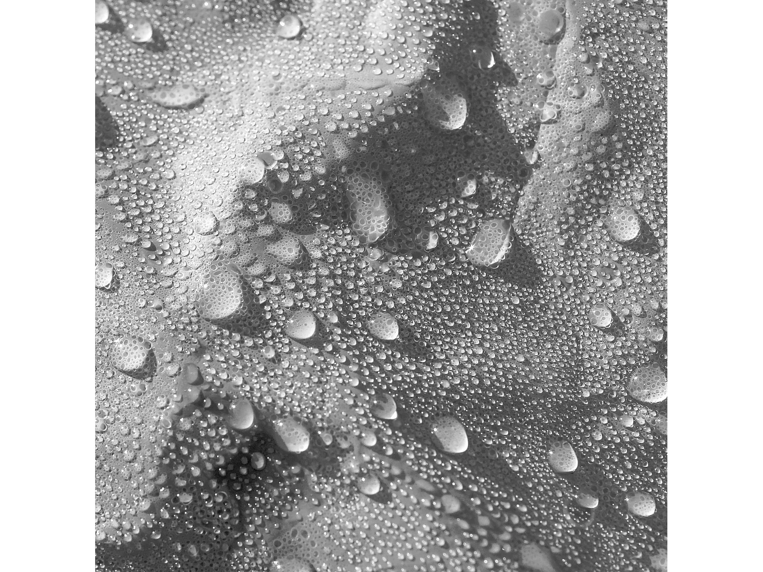 Telone da giardino Telone di protezione Telone in tessuto con occhielli 2 x 6 m