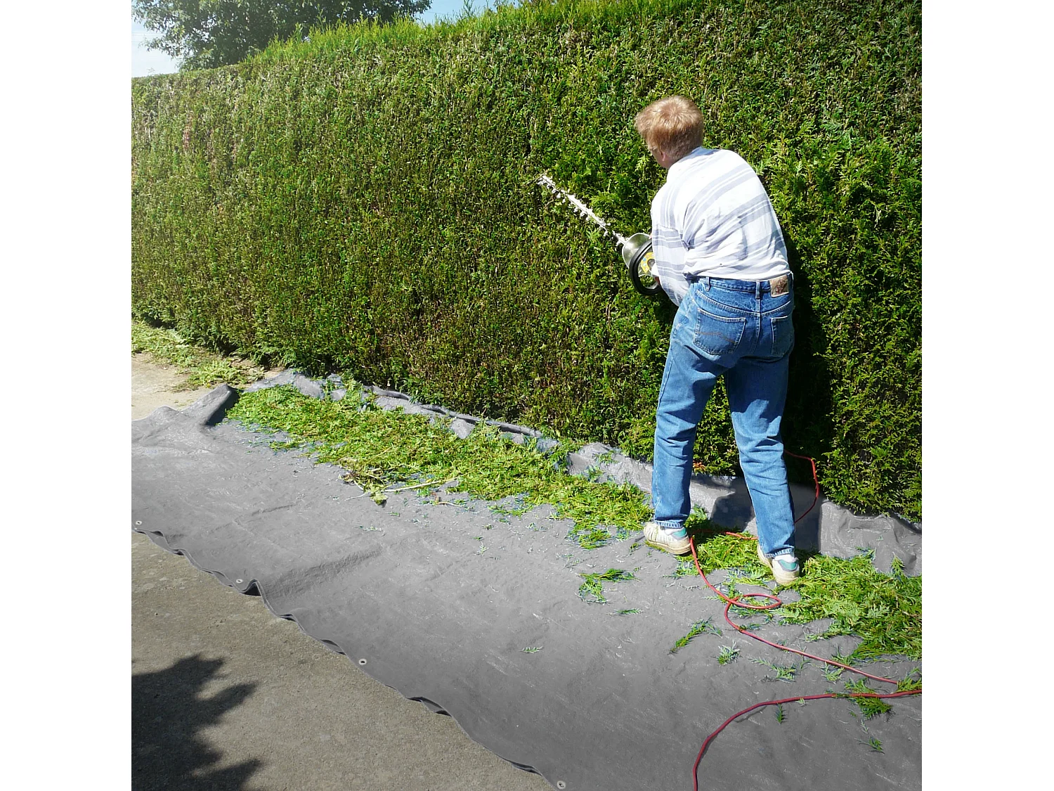 Telone da giardino Telone di protezione Telone in tessuto con occhielli 2 x 6 m