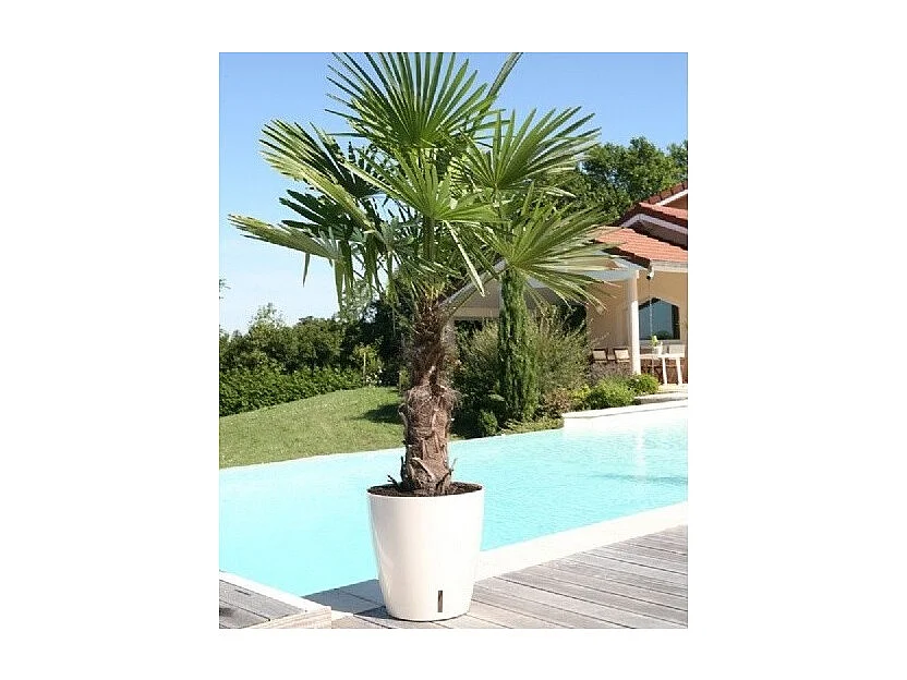 Runder Blumenkasten Kunststoff Ø 31 cm Blau