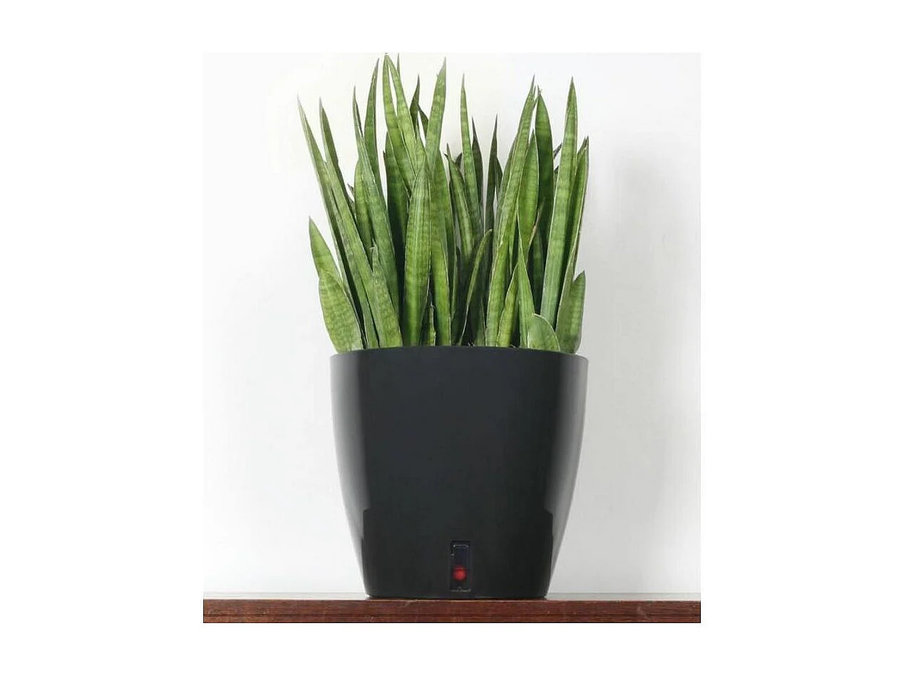 Runder Blumenkasten Kunststoff Ø 31 cm Blau