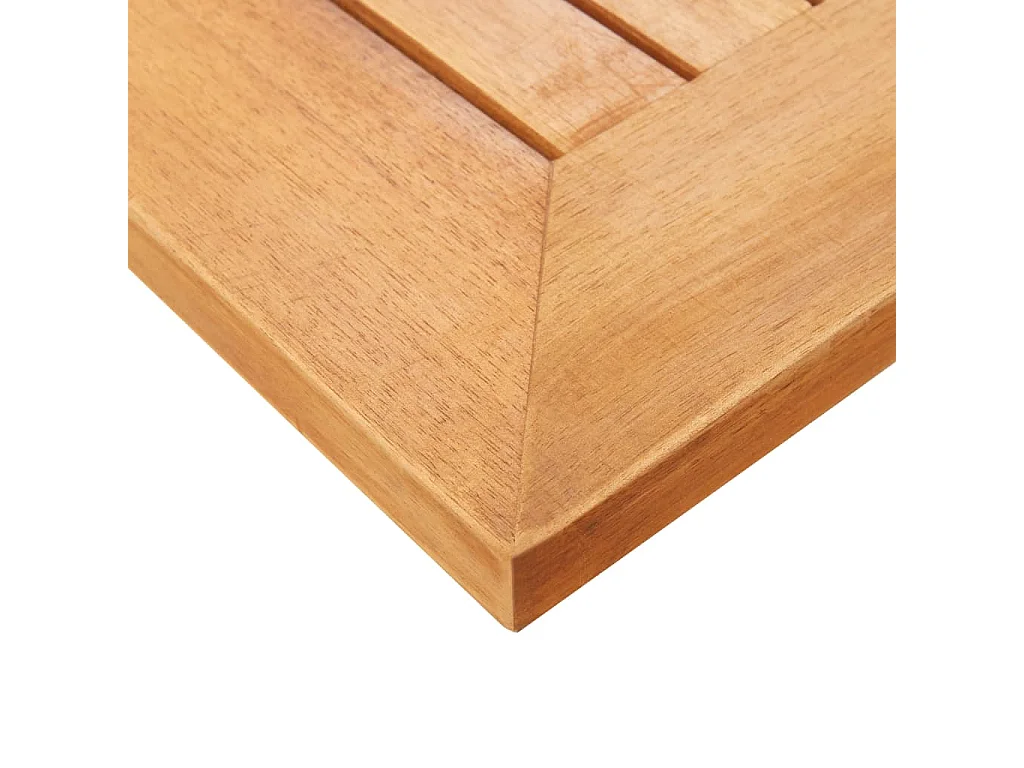 Chaise longue avec coussin Bois d'acacia et acier inoxydable